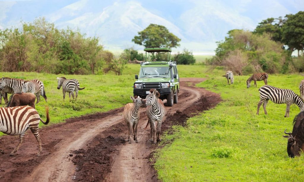 tanzania-adventure-tours